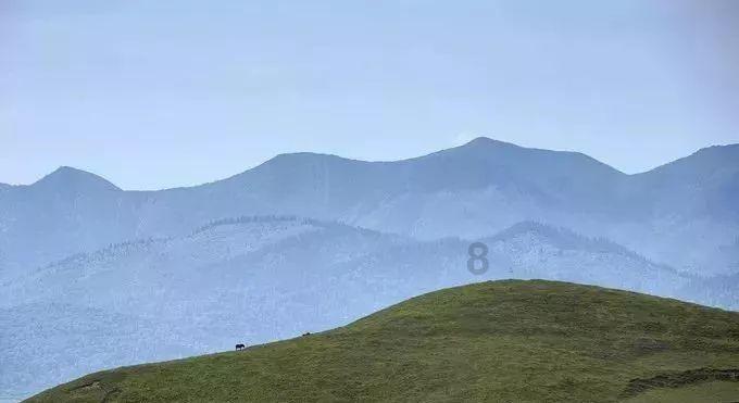 天启异闻录大结局，渥旃是寄生型外星生命，褚思镜永远留在海底